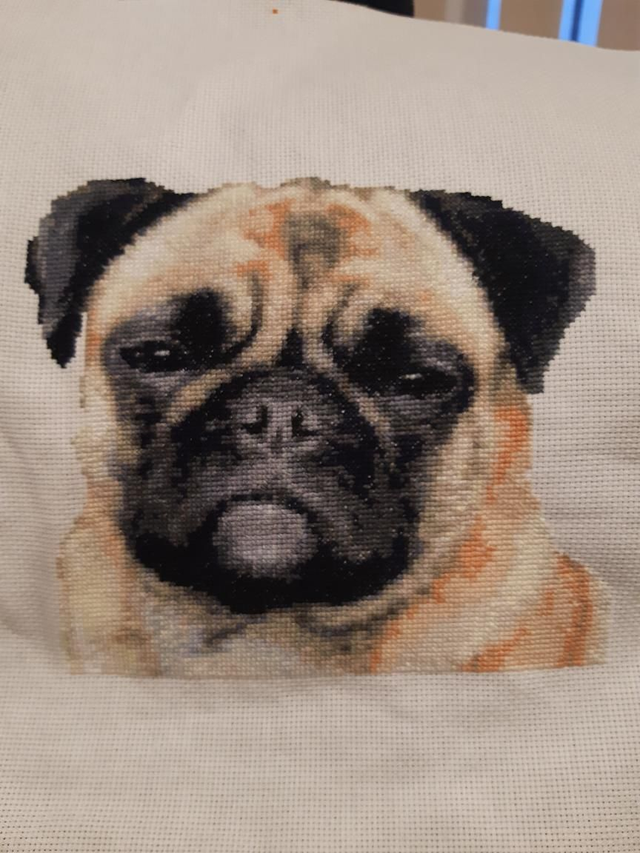 Pug Dog Cross Stitch Kit 'Bella'