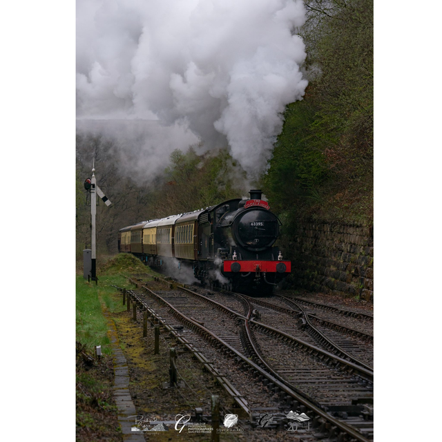 The Moorlander