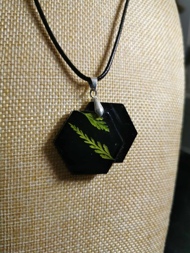 Double hexagone et fougères