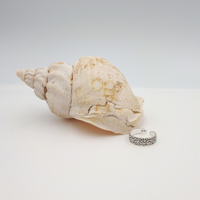 Sterling Silver Feather Tassel Earrings