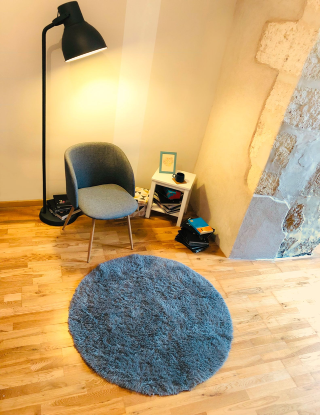 HODYSSEA Tapis RONDOUX Diamètre 120 cm 100% Polyester Poils longs