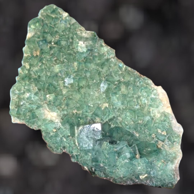 Druse de Fluorite 310 gr