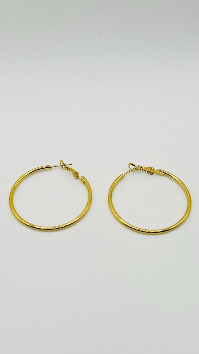 Stainless Steel Earrings (SSE66J)