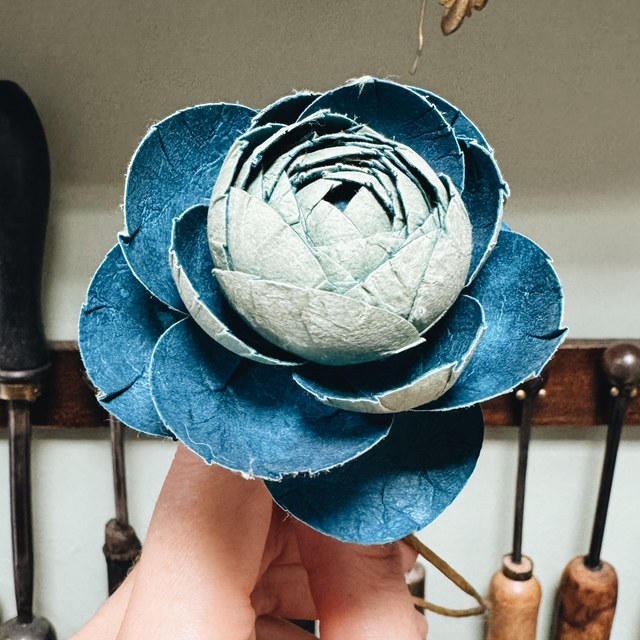 RENONCULE VERT D’EAU / BLEU PAON