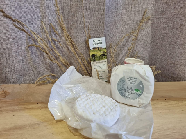 Dondon ou camembert de vache