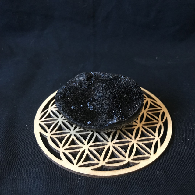 SEPTERIA SAUVAGE - Galet 3 [Madagascar]