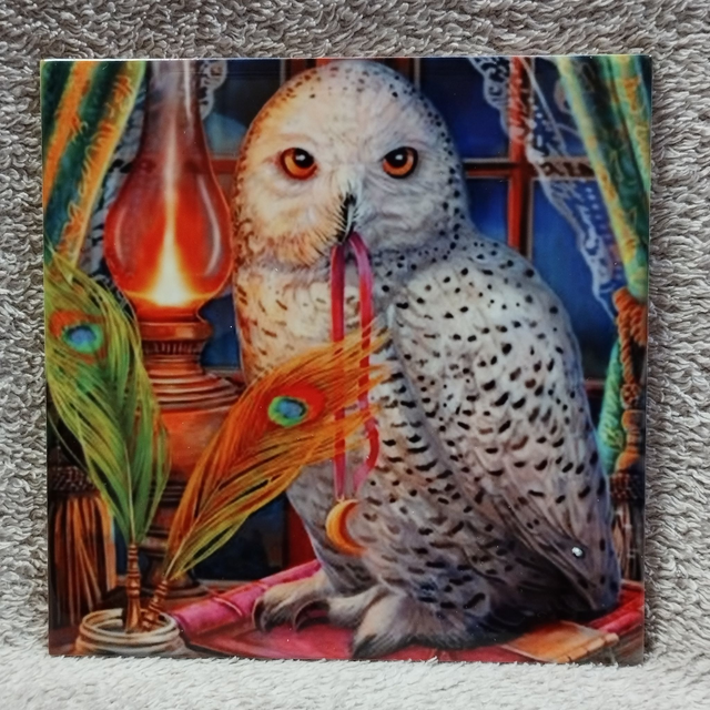 Chouette gardienne des sorts