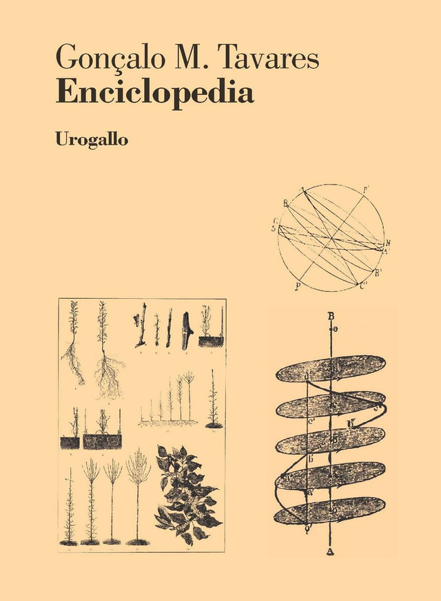 Tavares Gonçalo M. - Enciclopedia