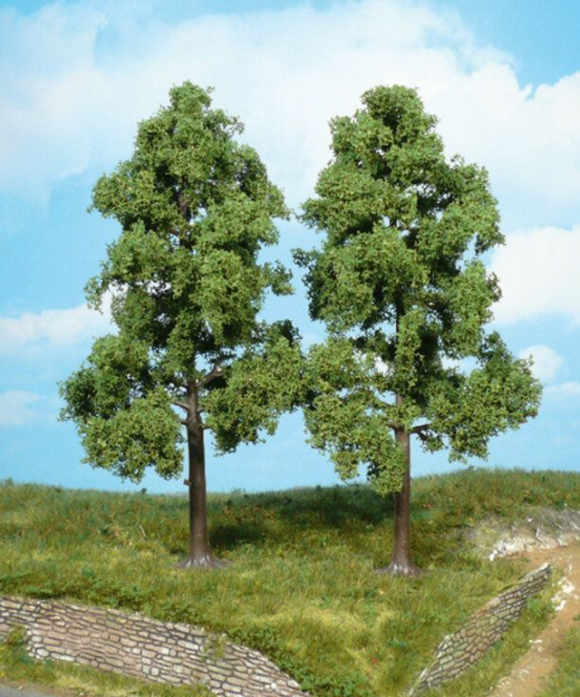 2 hêtres 18cm Héki 1712