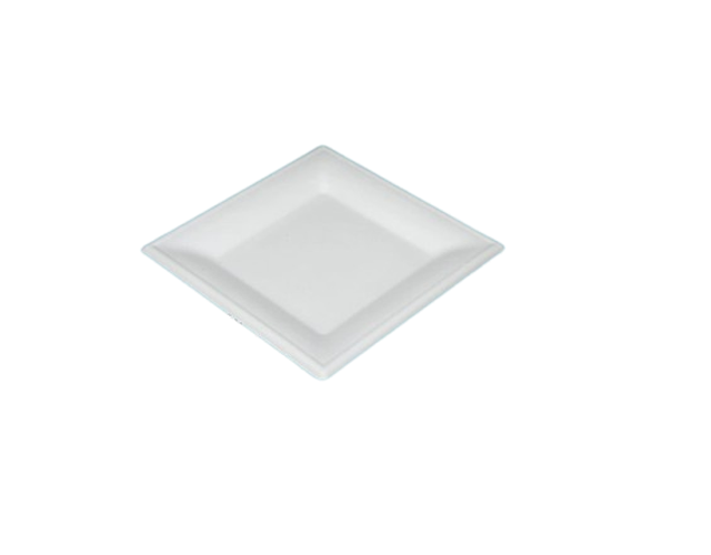 10" Square Bagasse Plate | White | BTC050