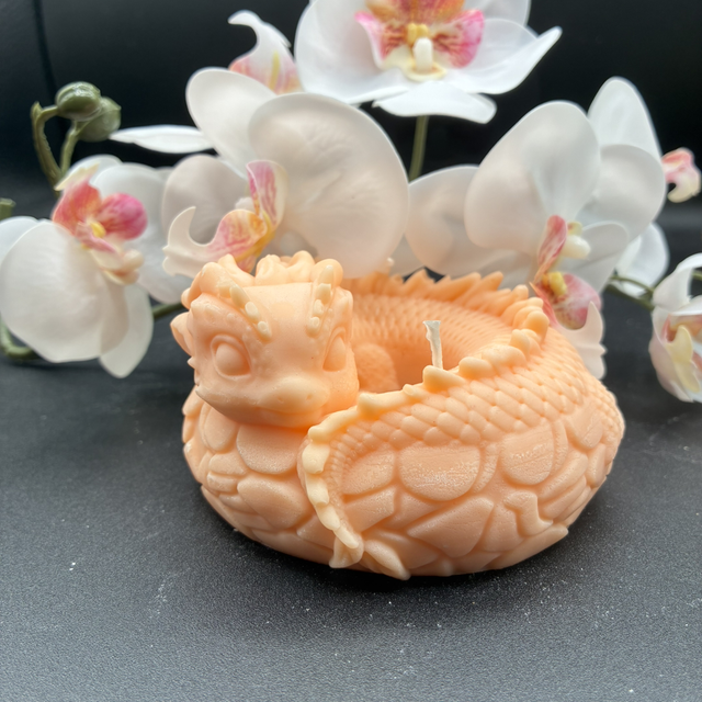 Dragon endormi 🐉💤