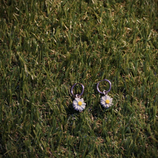 Petites Plumbago - Argenté 