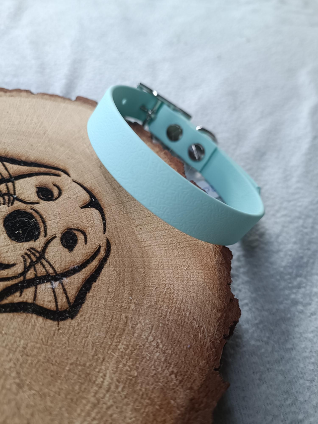 Collier biothane 16mm