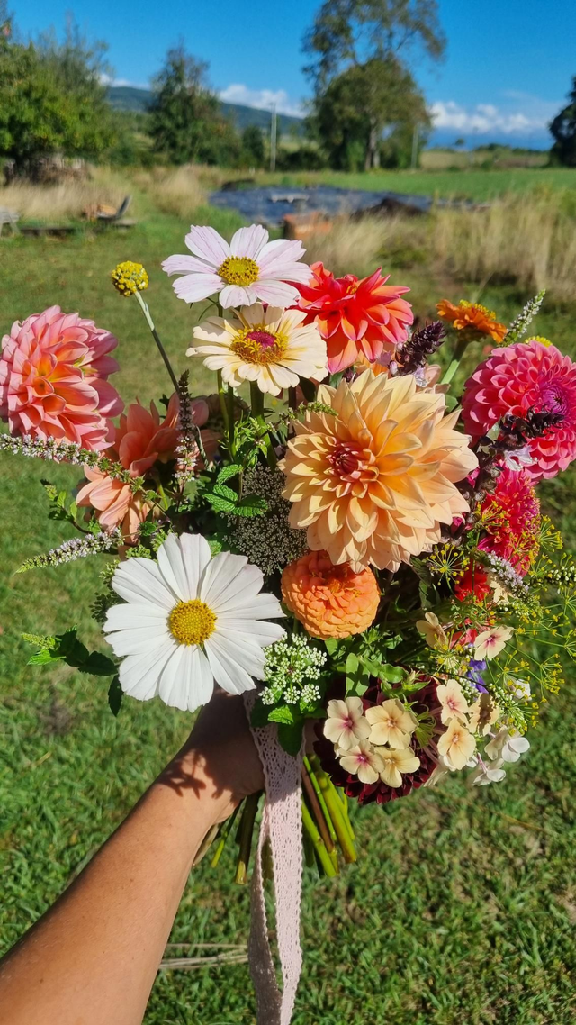 Abonnement bouquets 2026 