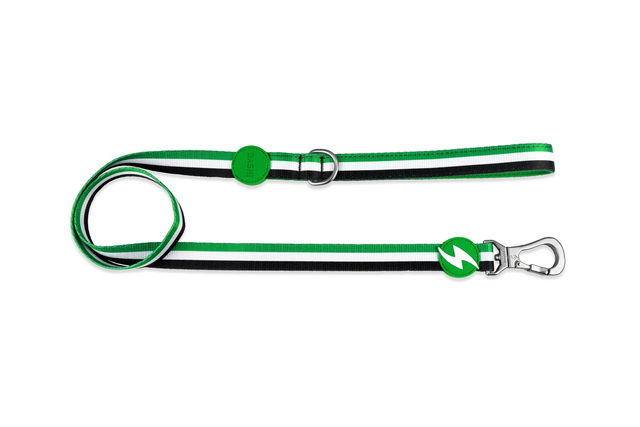 Stripes 3 Green &amp; Black Leash