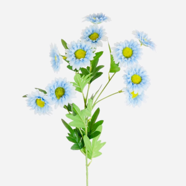 Wild Gerbera Daisy Spray