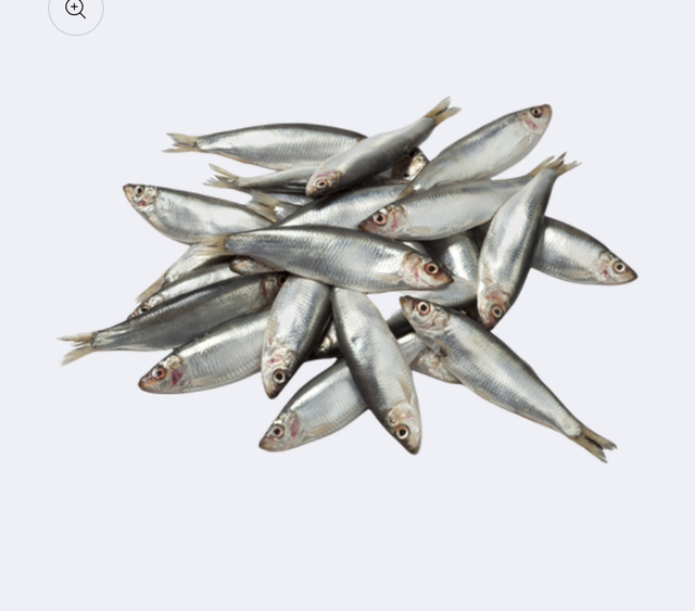 Kb sprats 1kg 