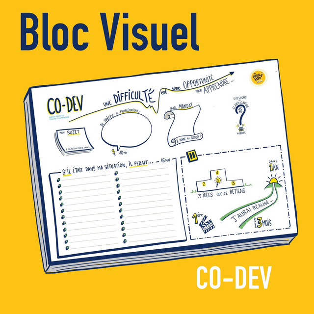 Bloc visuel sur le CO-DEV