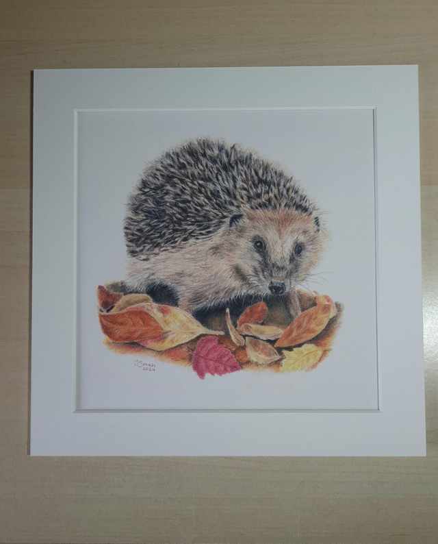 Hedgehog Original Drawing - 'Autumn Leaves'