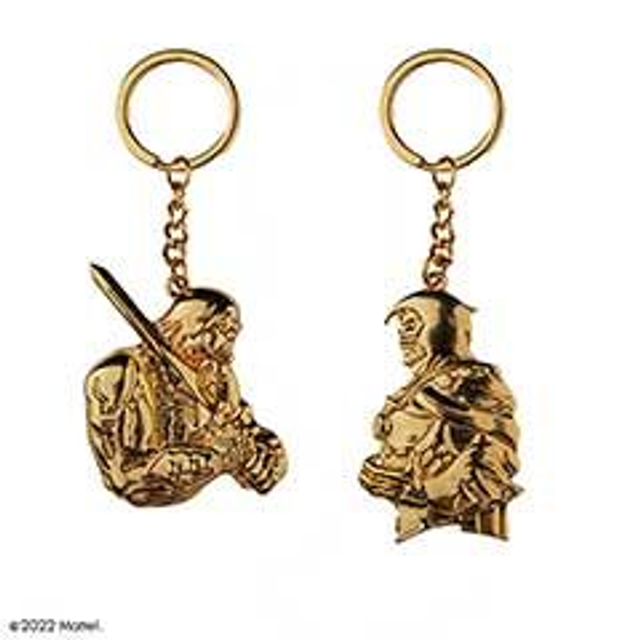 SET 2 PORTE CLEF MAITRE DE L UNIVERS