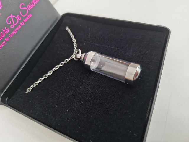 Collier Urne Funéraire Crémation Cendres Cheveux En Acier