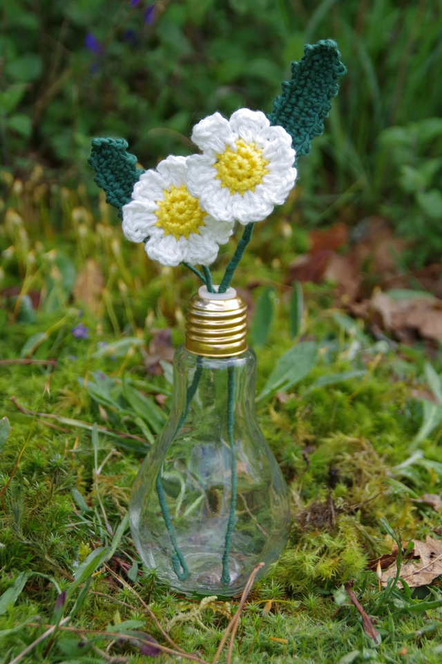 Marguerite dans son vase ampoule