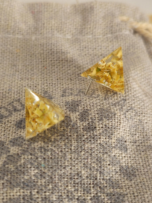 Ligustrum pirâmides-mini