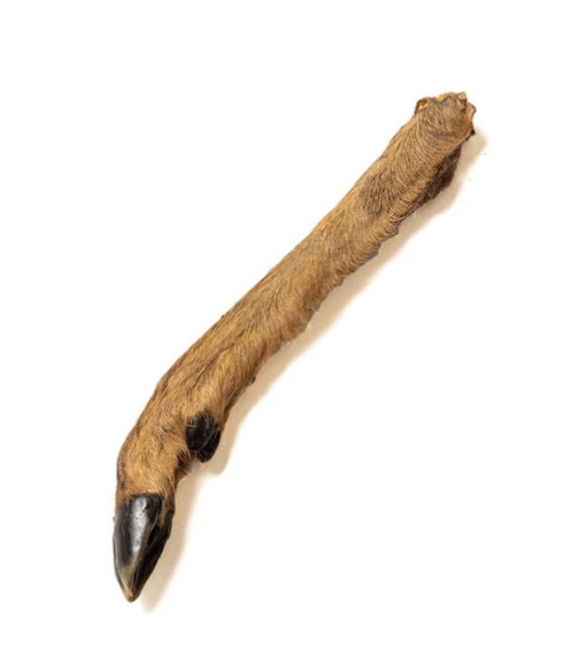 NATURAL TREATS - HAIRY VENISON LEG