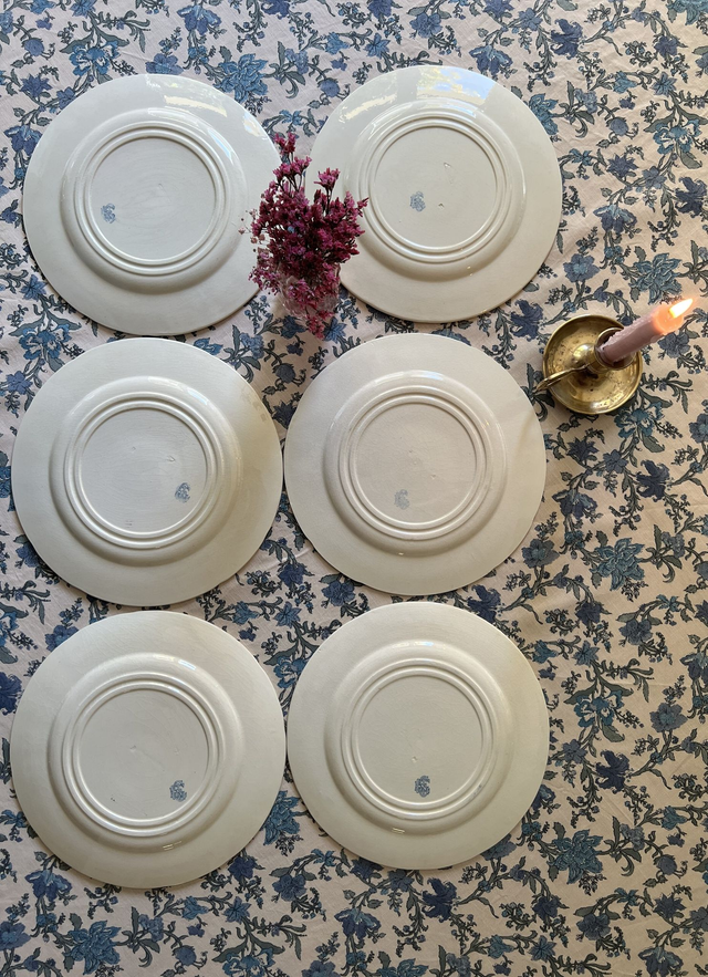 OISEAUX - Suite de 6 assiettes plates aux Oiseaux par la manufacture française de Gien - Terre de Fer