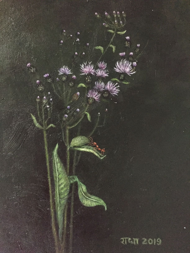 Anuradha Rajivan (Radha) - Thistle 1