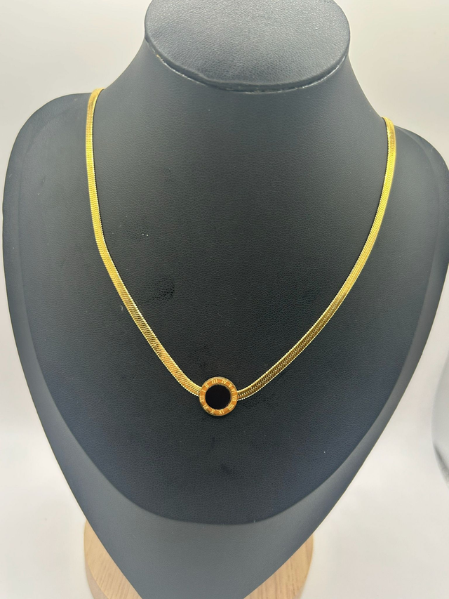 Stainless Steel Necklace (SSN35J)