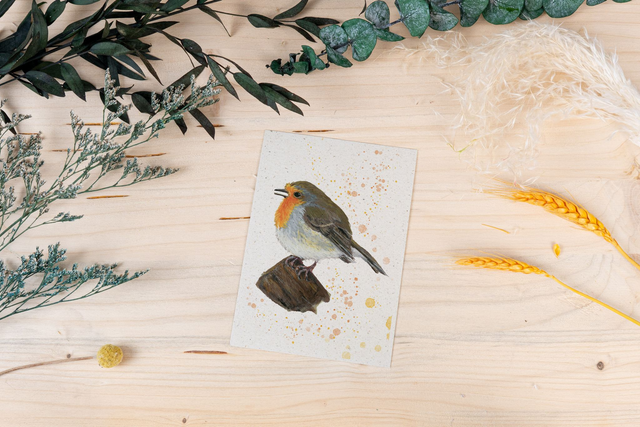 Graspapierkarte - Rotkehlchen - flauschig