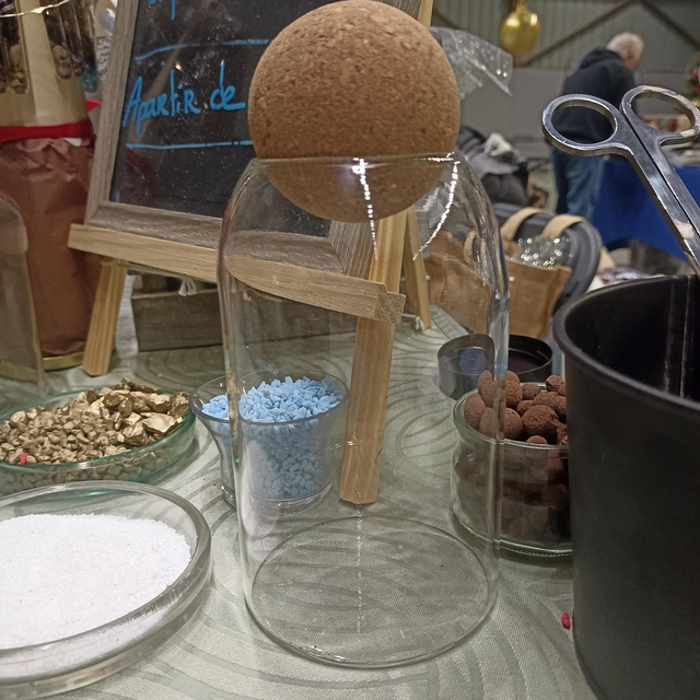 Kit Terrarium Créatif - Pour Enfants (6+) et Adultes