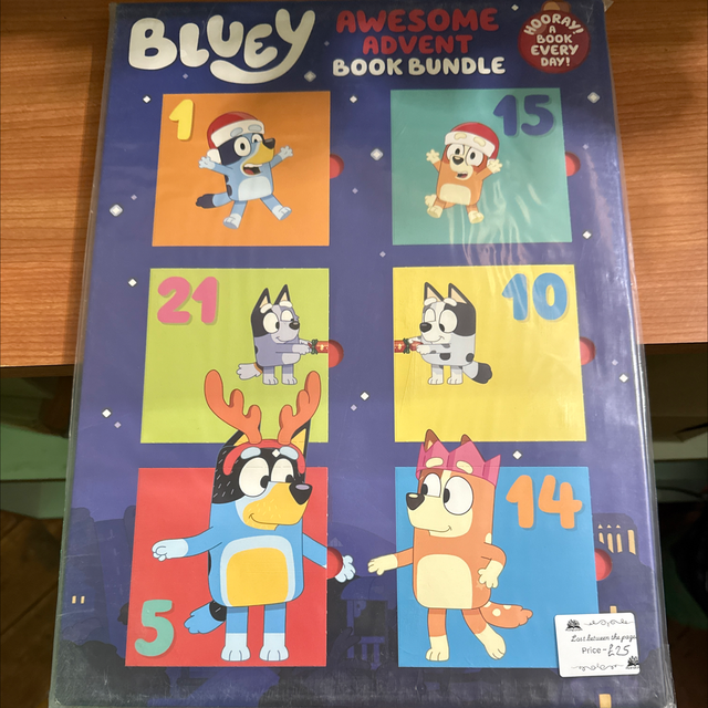 Bluey Book advent calendar 
