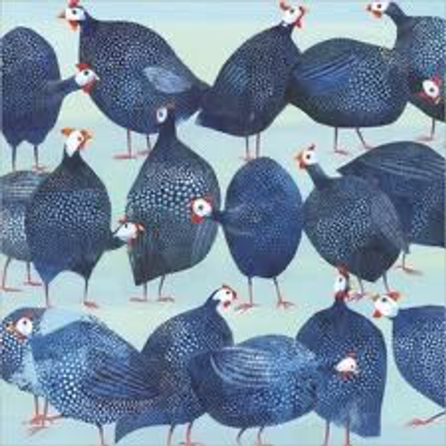 GUINEA FOWL CONFUSION A075