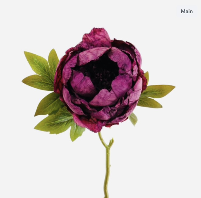 Dried Touch Closed Peony 48cm