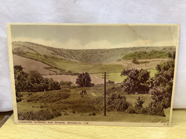 Luccombe Common and Downs, Shanklin, Isle of Wight, J. Arthur Dixon Ltd vintage postcard. Our Ref No. R628 £3.00