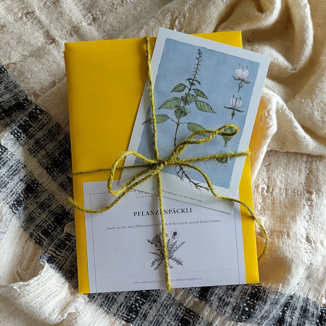 Einzelne, assortierte Pflanzenpäckli