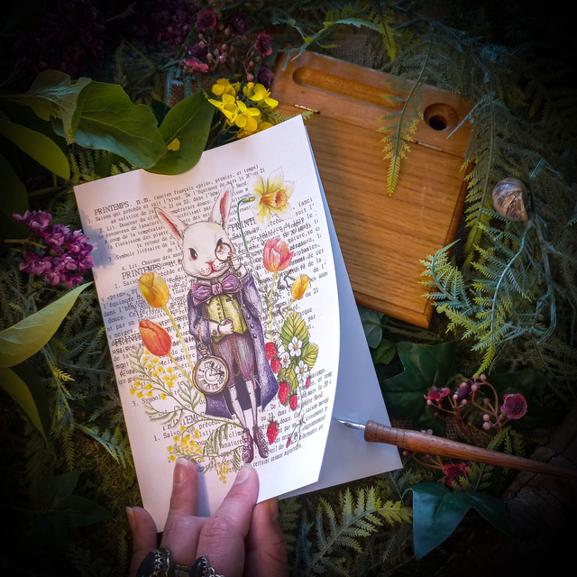 Carnet &quot;Lapin Alice&quot;