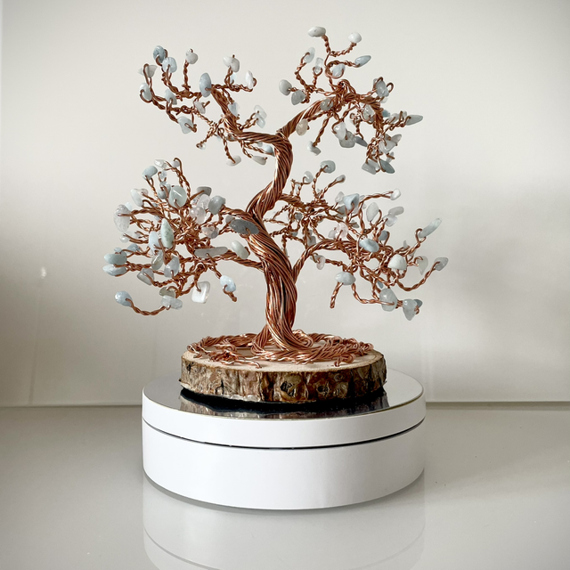 Arbre Bonsaï Aigue Marine