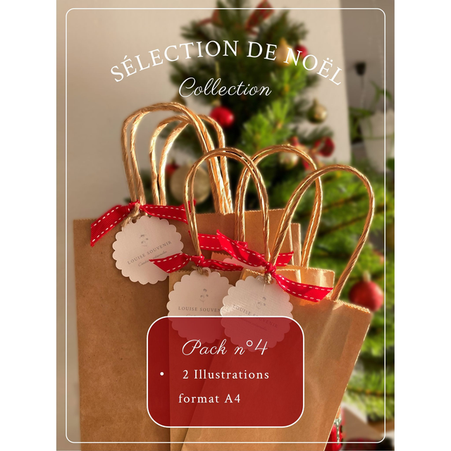 Pack n°4 : Deux illustrations au format A4