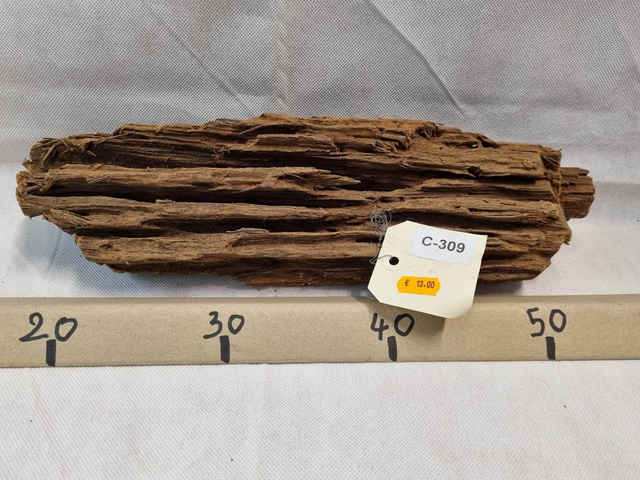 Racine Mangrove C-309