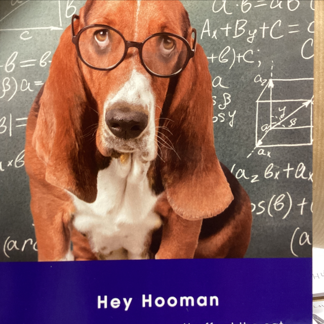 Birthday Humour Hey Hooman -  I did the maths we can’t afford the cat. 