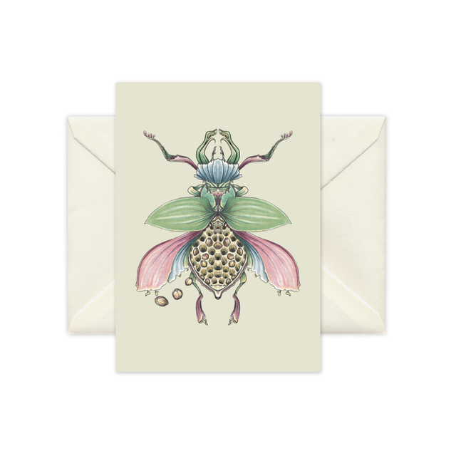 A6 mini print - Stag Beetle