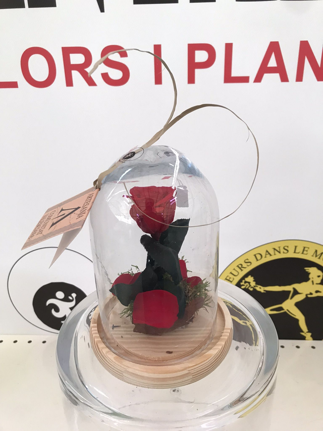 CUPULA CRISTAL ROSA ROJA PETALOS D-12 Altura 16cm