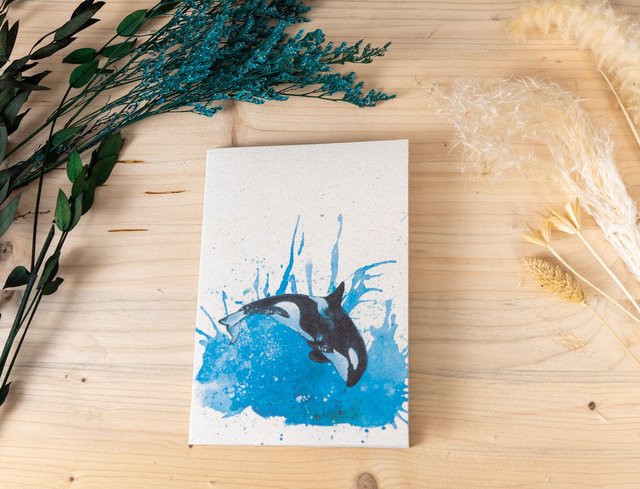 Notizbuch - Orca 1 - Majestät des Ozeans