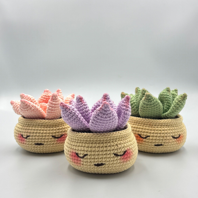 Succulente avec pot au visage mignon - Disponible en plusieurs coloris