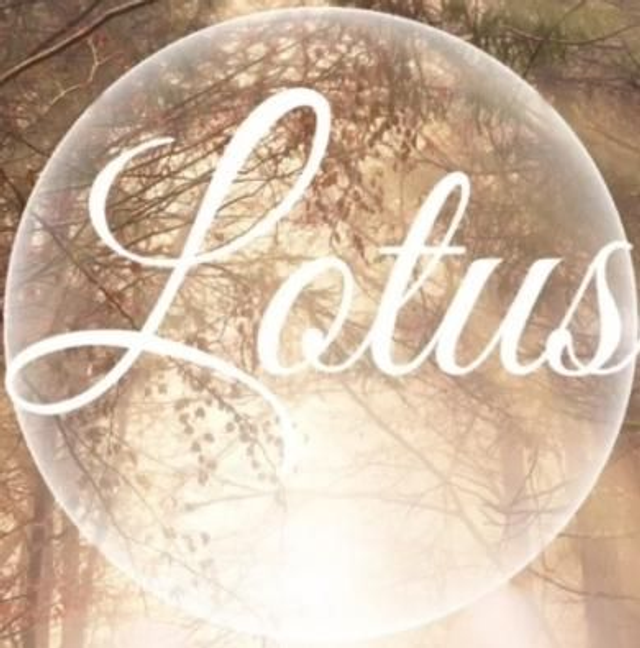 Projet Lotus Sessions 1, 2 Et 3