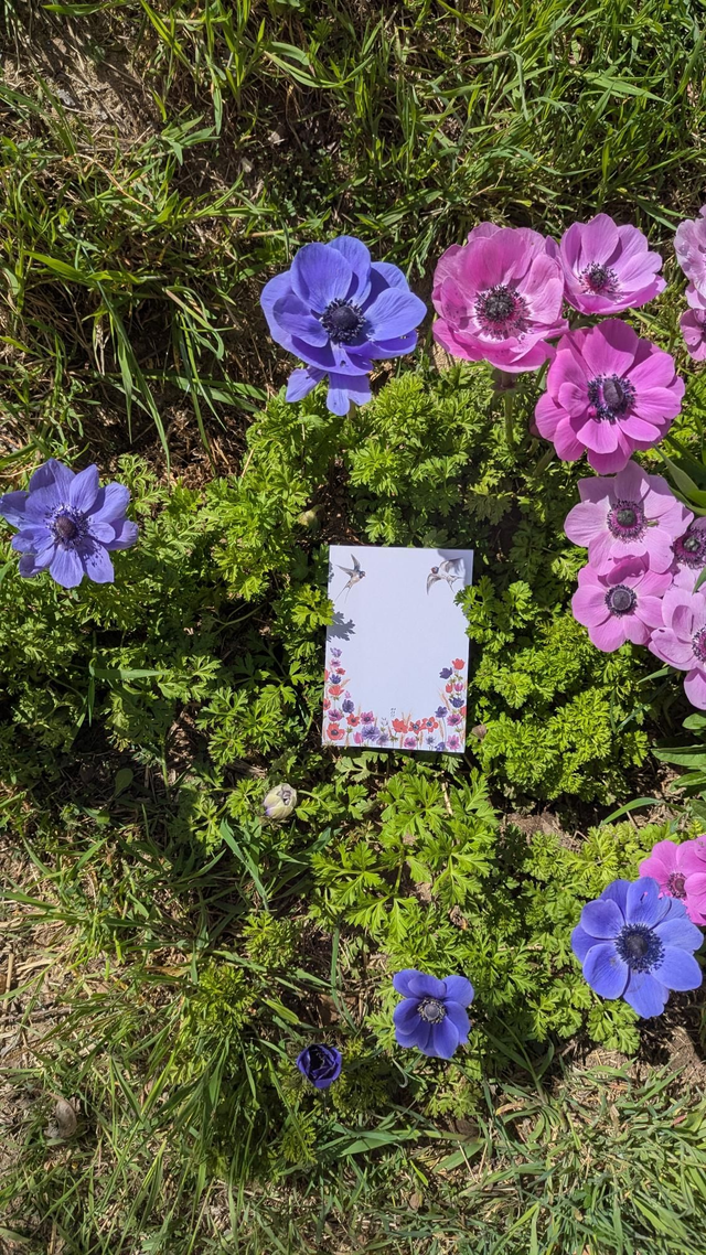 Bloc note - champs d&#039;anémones et Hirondelles 