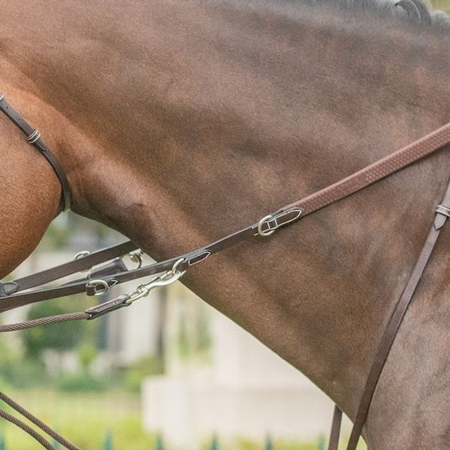 Rênes JUMP'IN pour Howlett / Thiedeman